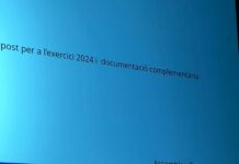 Pilar Díaz, elegida presidenta de Localret