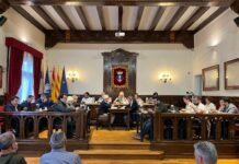 Crónica del Pleno: Luz verde en una nueva modalidad de estacionamiento regulado para personal de empresas